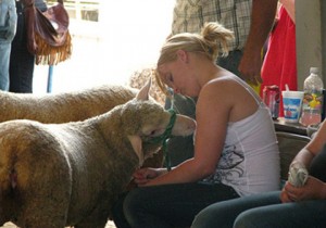 girl with sheep-1349998504 Wisconsin Sheep & Wool Festival